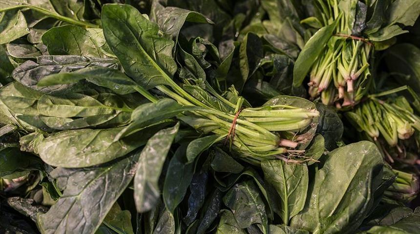 İstanbul Tarım ve Orman Müdürü Karaca'dan "ıspanak" açıklaması