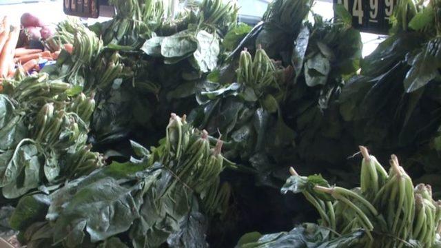 Ispanak Zehirlenmelerinde Yeni Şüpheli 'Şeytan Elması' mı?