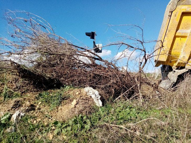 Ağaç sayesinde devrilmekten kurtuldu G5