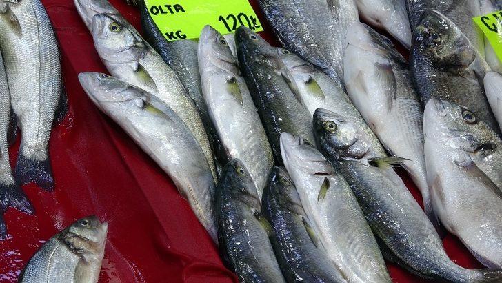 Denizlerin prensi lüferin kilogram fiyatı bir haftada 60 lira düştü G2