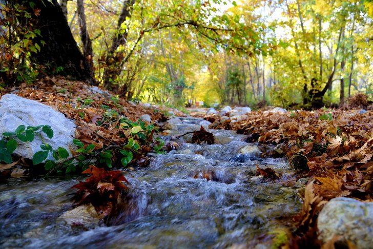 Antalya'da sonbahar renkleri büyülüyor G1