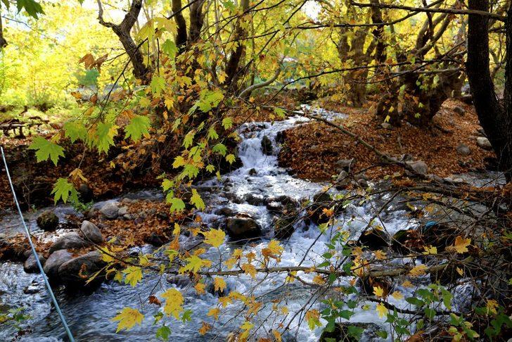 Antalya'da sonbahar renkleri büyülüyor G3