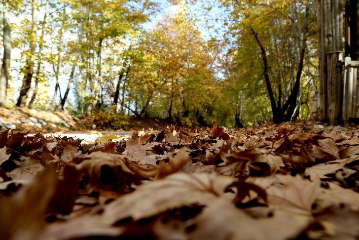Antalya'da sonbahar renkleri büyülüyor G4
