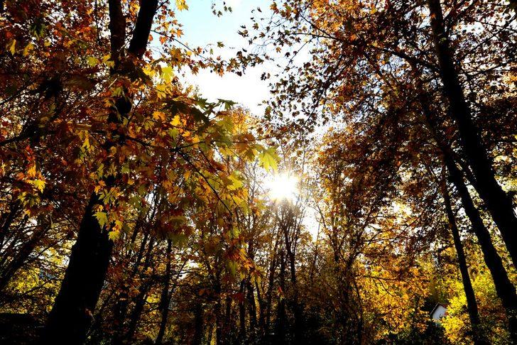 Antalya'da sonbahar renkleri büyülüyor G5