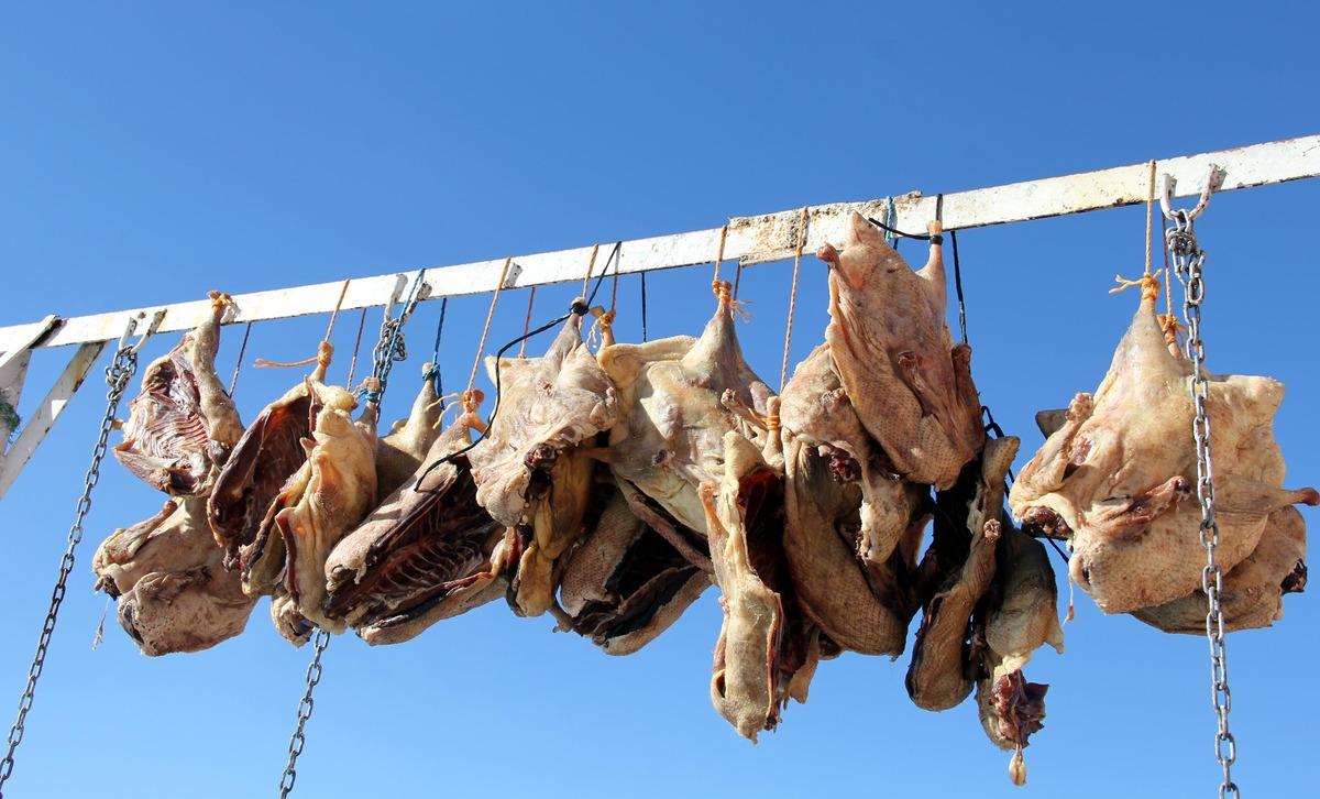 Kars'ta kar yağdı, kaz kesimi başladı