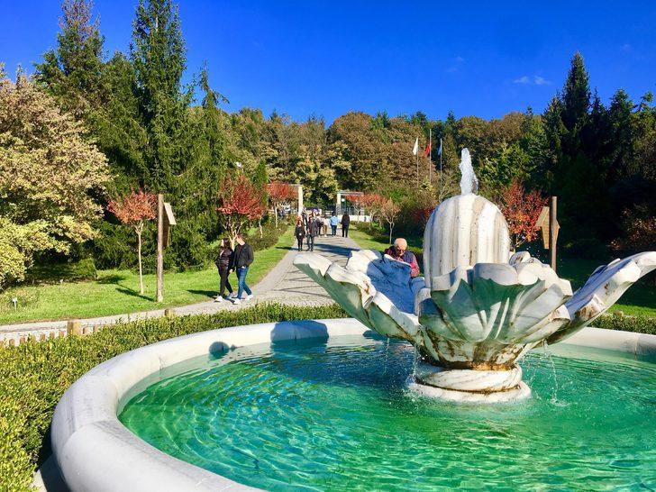 Atatürk Arboretumu'nda sonbahar güzelliği! G2