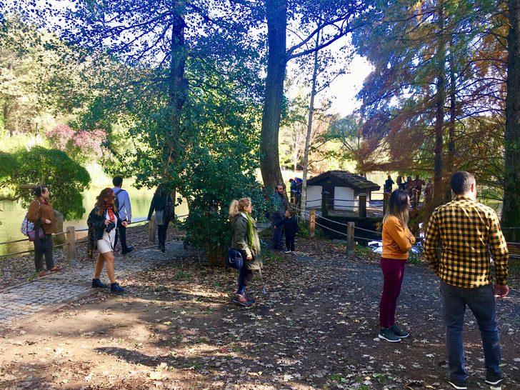 Atatürk Arboretumu'nda sonbahar güzelliği! G3