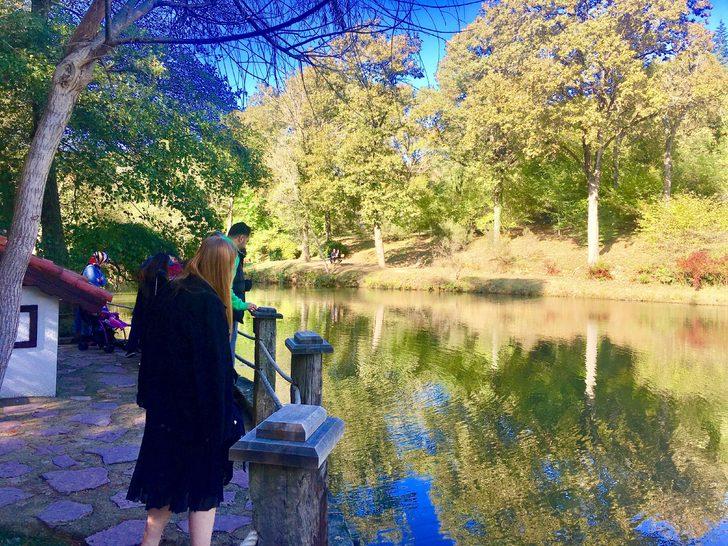 Atatürk Arboretumu'nda sonbahar güzelliği! G5