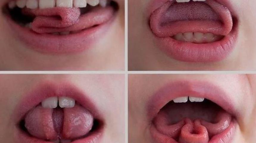 Diliyle yaptıkları görenleri hayrete düşürdü!