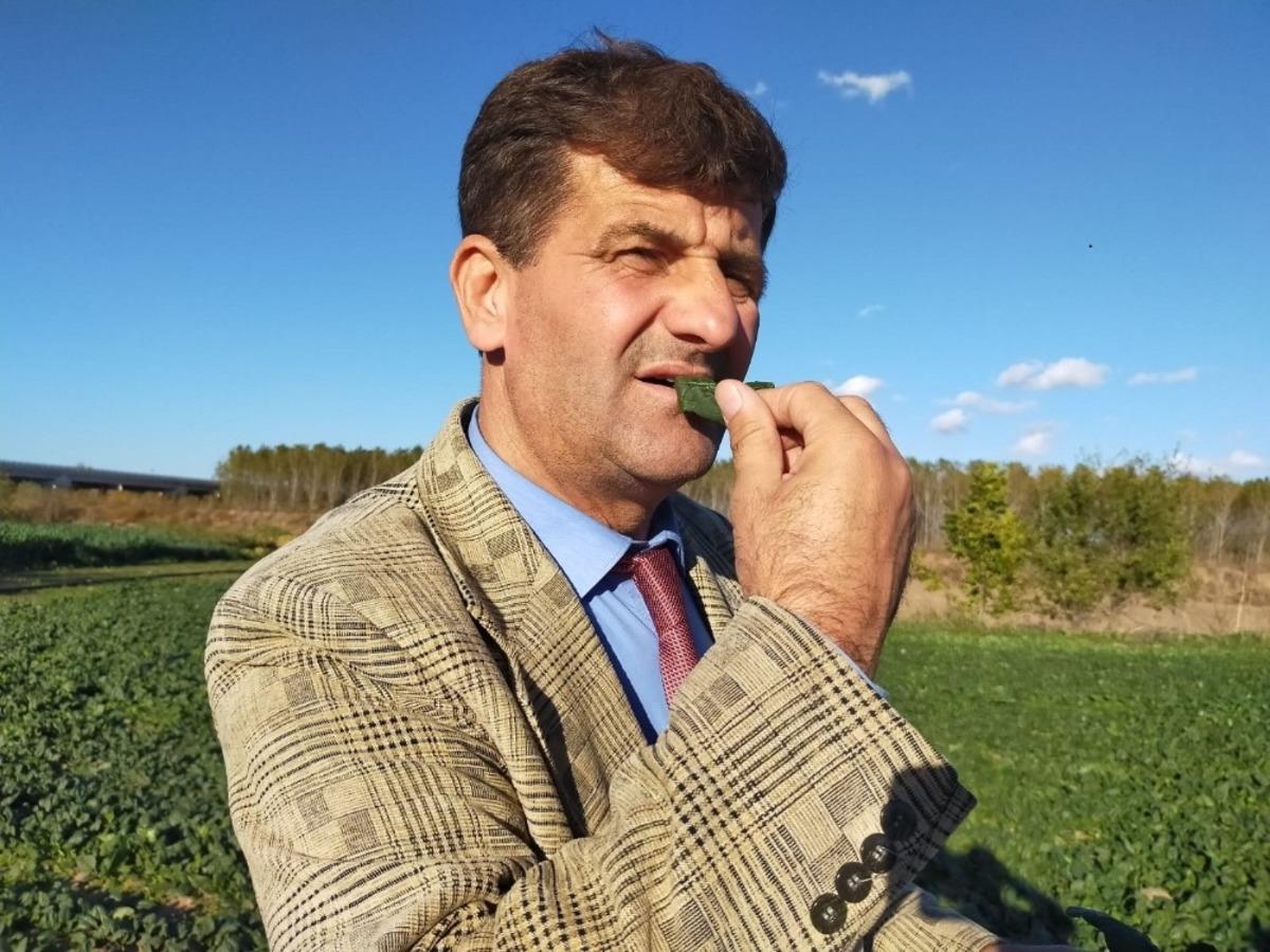 (&Ouml;zel Haber) Ispanak yiyerek tepki g&ouml;sterdiler