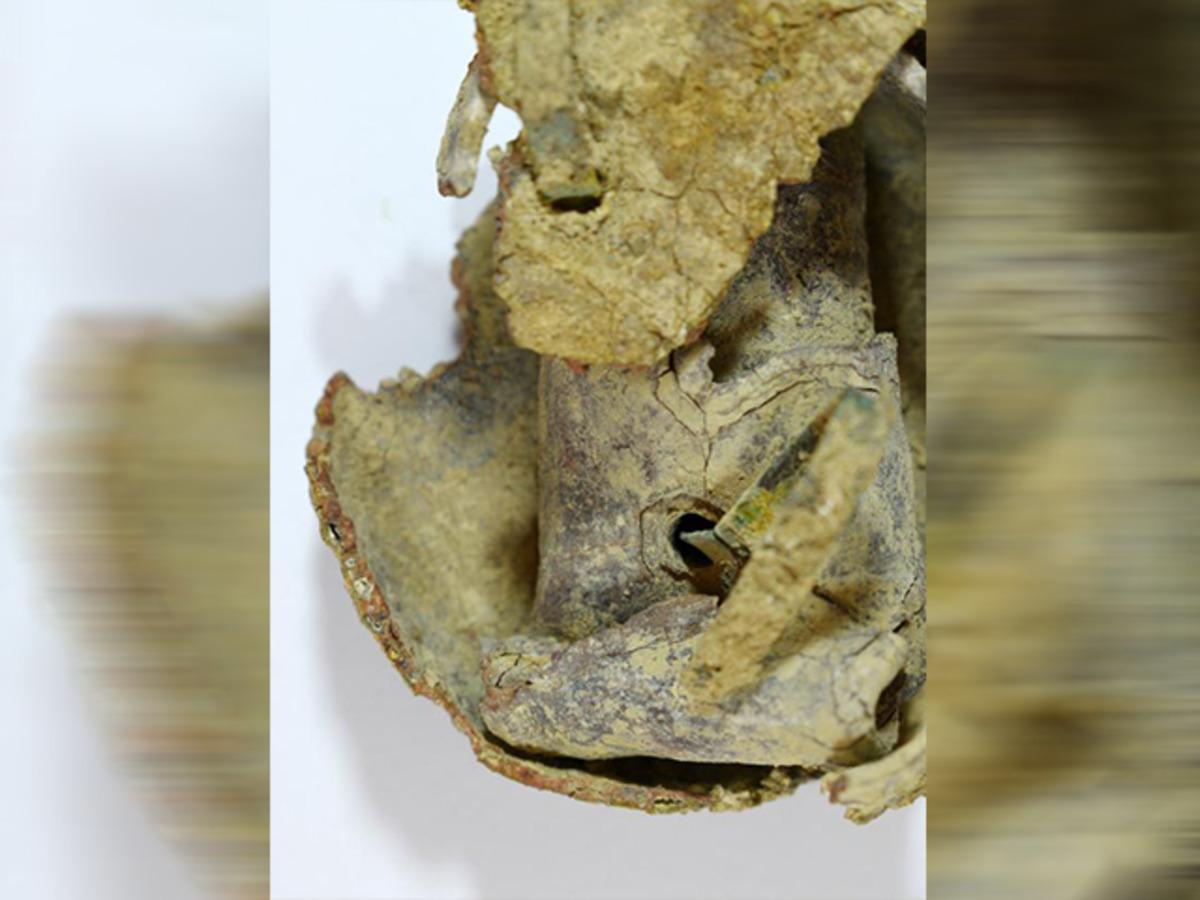 Antalya'da heyecanlandıran bulgu: Kara b&uuml;y&uuml;