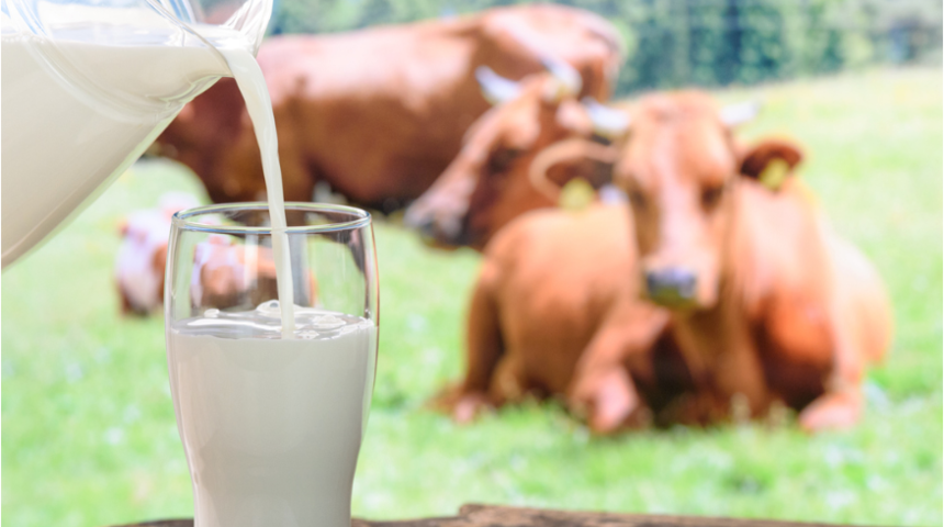 Bebeklerde inek s&uuml;t&uuml; alerjisi, kabızlık yapabilir