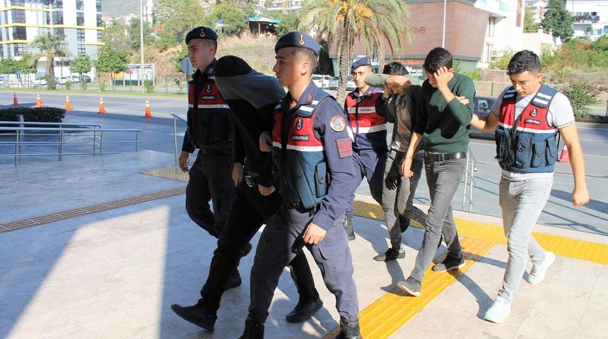 Girdikleri bahçeden 10 bin tane avokado çaldılar! Değeri 30 bin TL