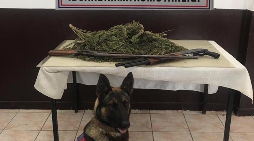 Erzincan&rsquo;da 2 kilo 400 gram kubar esrar ile 2 adet av t&uuml;feği ele ge&ccedil;irildi