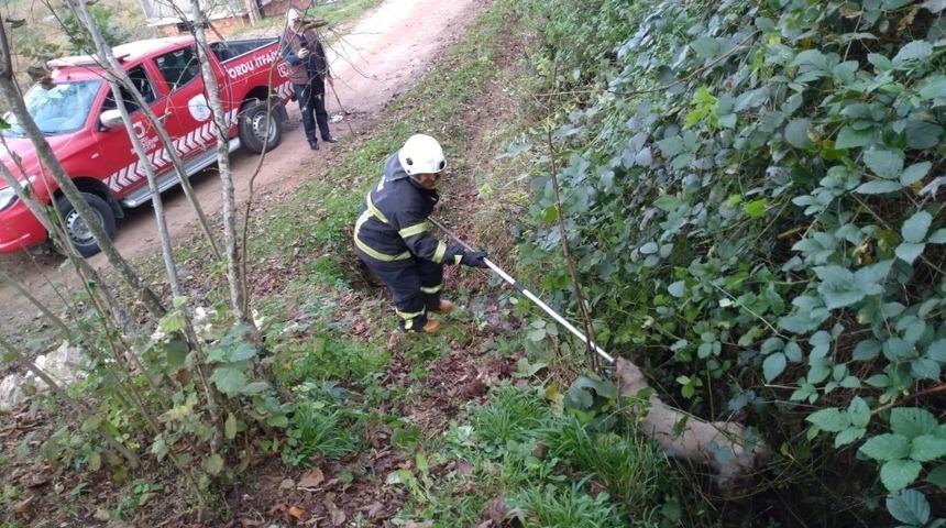 Dereye düşen yavru köpeği itfaiye kurtardı