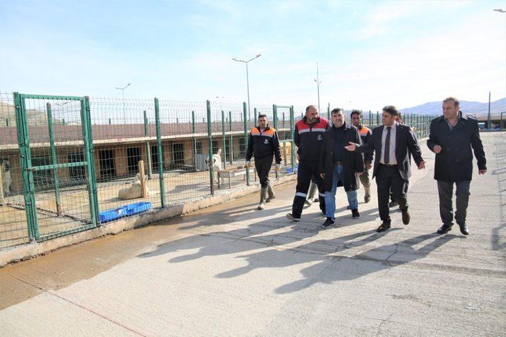 Sokak hayvanlarına 5 yıldızlı konfor G5