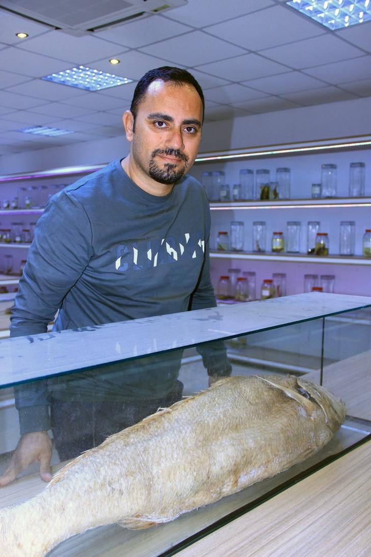 Balon balığı tehlikesi giderek artıyor!  G4