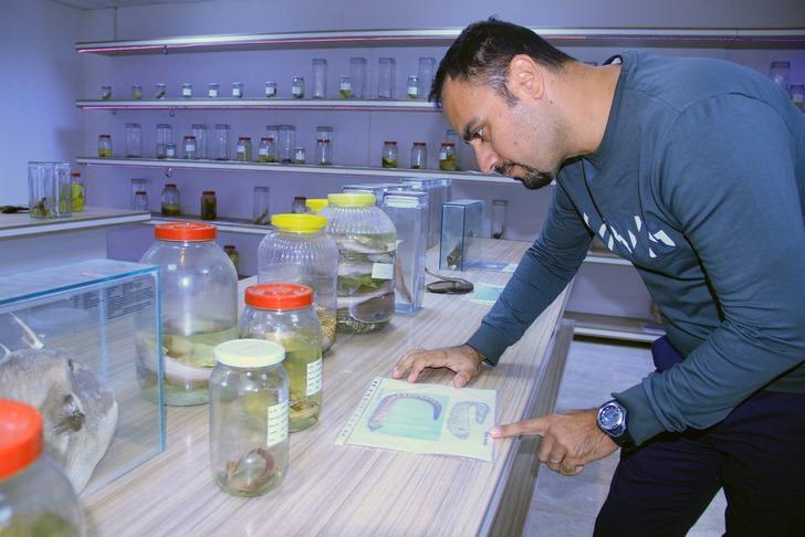 Balon balığı tehlikesi giderek artıyor!  G5