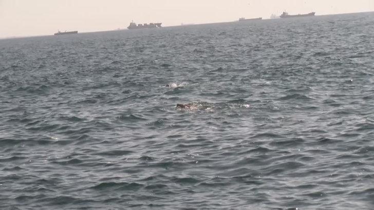 İstanbul'da sıcaklık 25 dereceye ulaştı! Kasım ayında denize girdiler G4