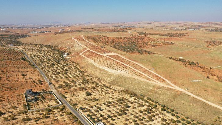 Şehitkamil, 19. ormanı için gün sayıyor G3