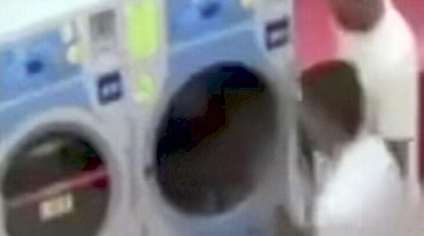 Kediyi kurutma makinesinin içine atan adama 34 ay hapis