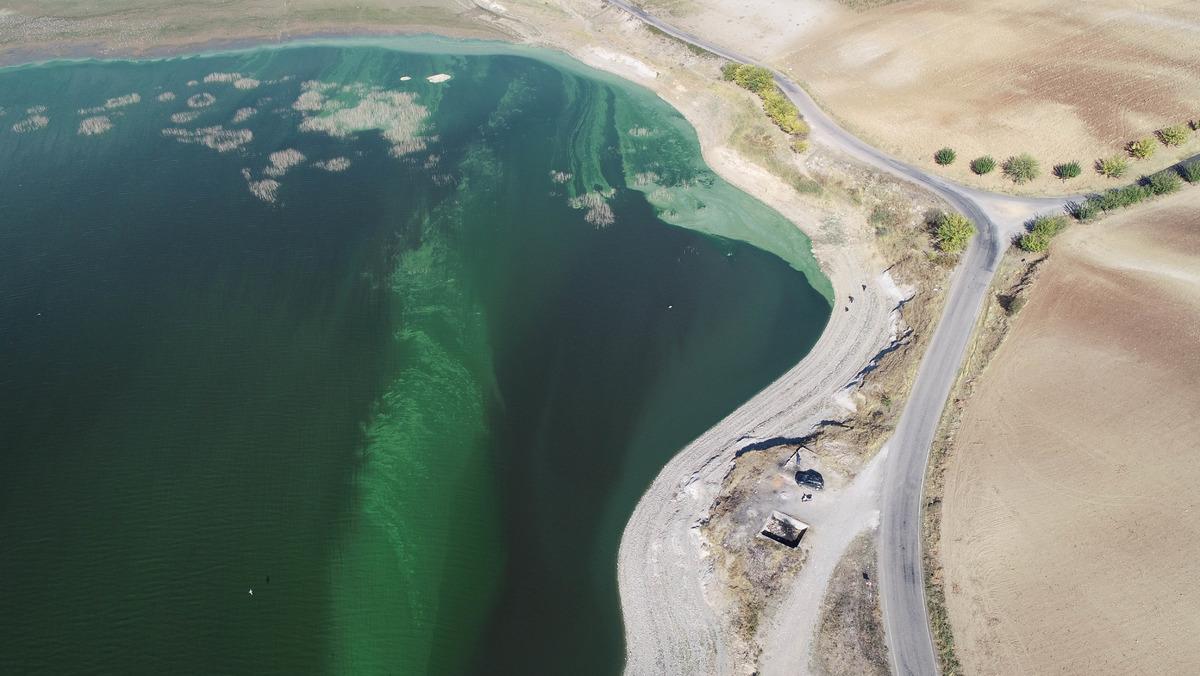 Atat&uuml;rk Baraj G&ouml;l&uuml;'ndeki yeşilliğin nedeni plankton ve alg patlaması