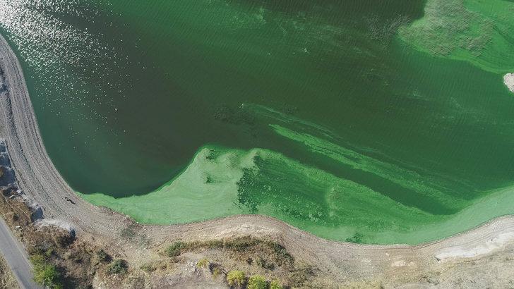 Atatürk Baraj Gölü'ndeki yeşilliğin nedeni plankton ve alg patlaması G2