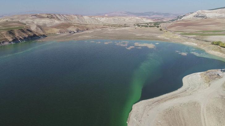 Atatürk Baraj Gölü'ndeki yeşilliğin nedeni plankton ve alg patlaması G5