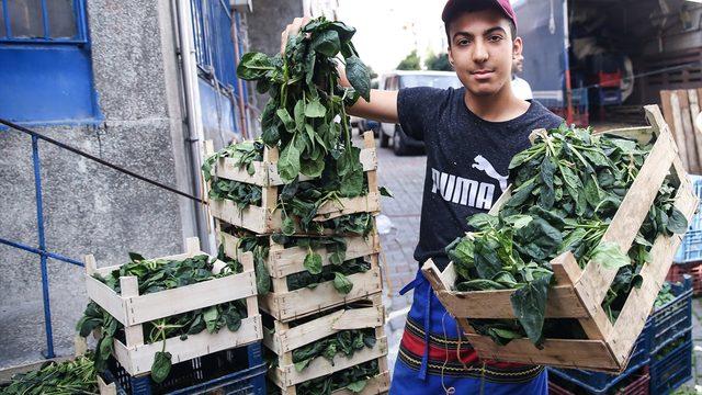  Ispanak zararına bile satılmıyor! Kasası 1 lira alan yok
