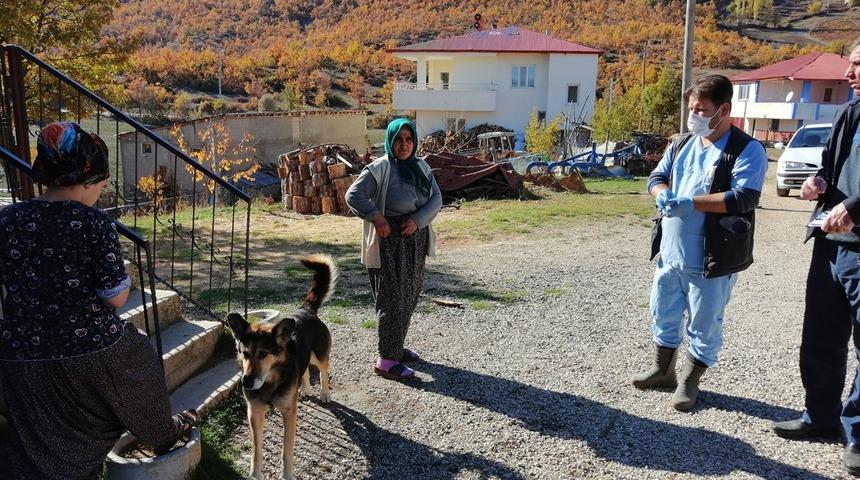 Kuduz tespit edilen mahalle karantinaya alındı