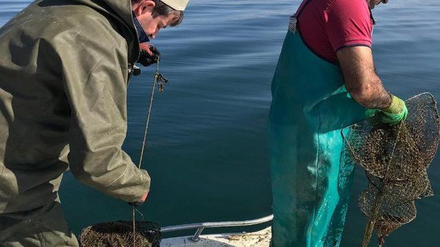 Eğirdir Gölü’ndeki 180 sahipsiz kerevit pinterine el konuldu