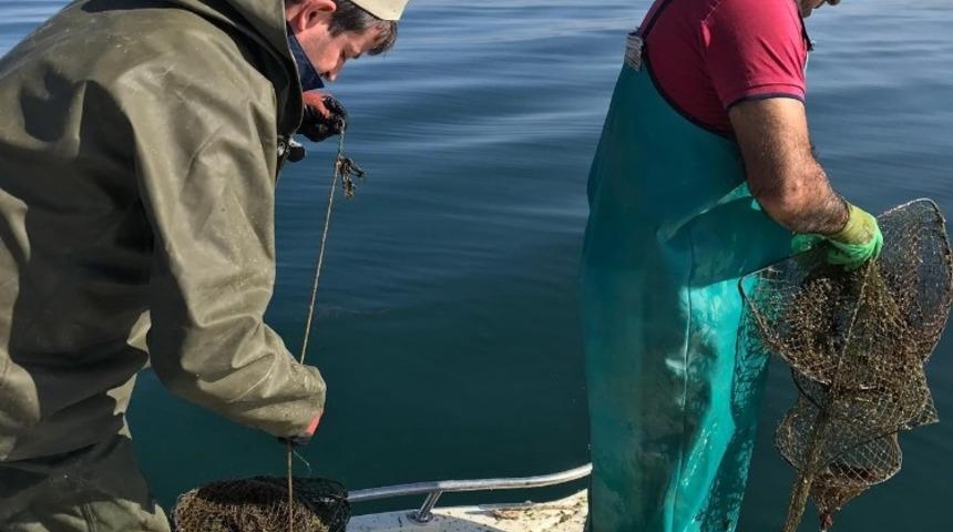 Eğirdir Gölü’ndeki 180 sahipsiz kerevit pinterine el konuldu