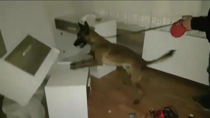 Elazığ’da uyuşturucu operasyonları: 2 tutuklama G1