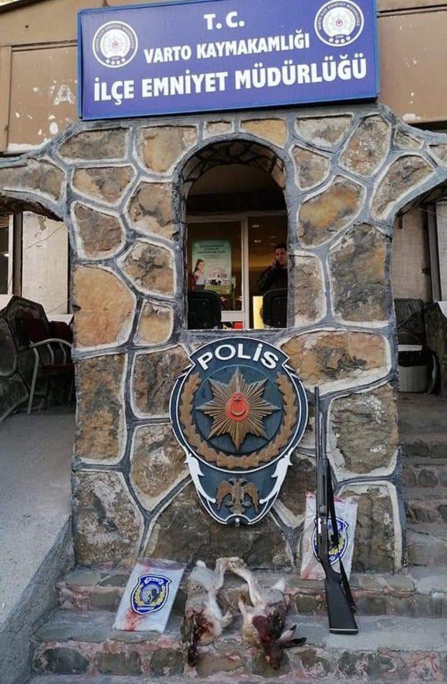 Muş’ta kaçak tavşan avcısı polise takıldı