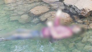 Korkunç görüntü! Tekne turu yapan turistler fark etti