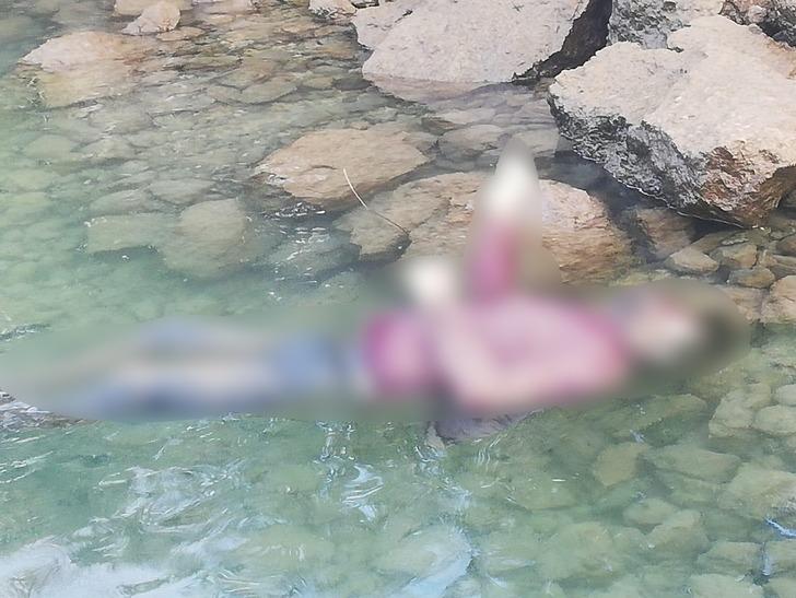 Korkunç görüntü! Tekne turu yapan turistler fark etti G2