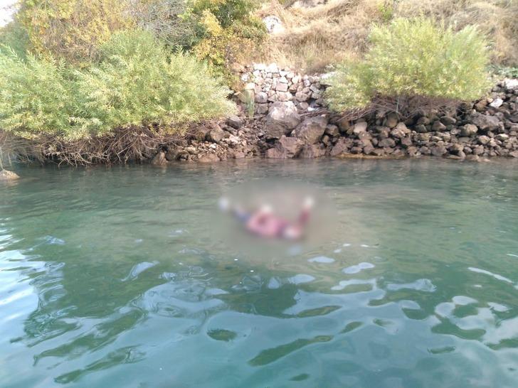 Korkunç görüntü! Tekne turu yapan turistler fark etti G1