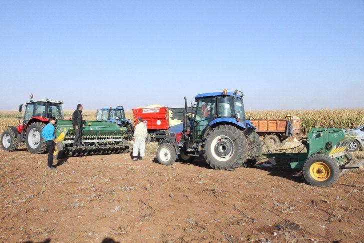 Mezopotamya’nın bereketli topraklarında buğday ekim mesaisi G2