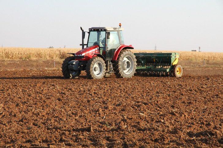 Mezopotamya’nın bereketli topraklarında buğday ekim mesaisi G4