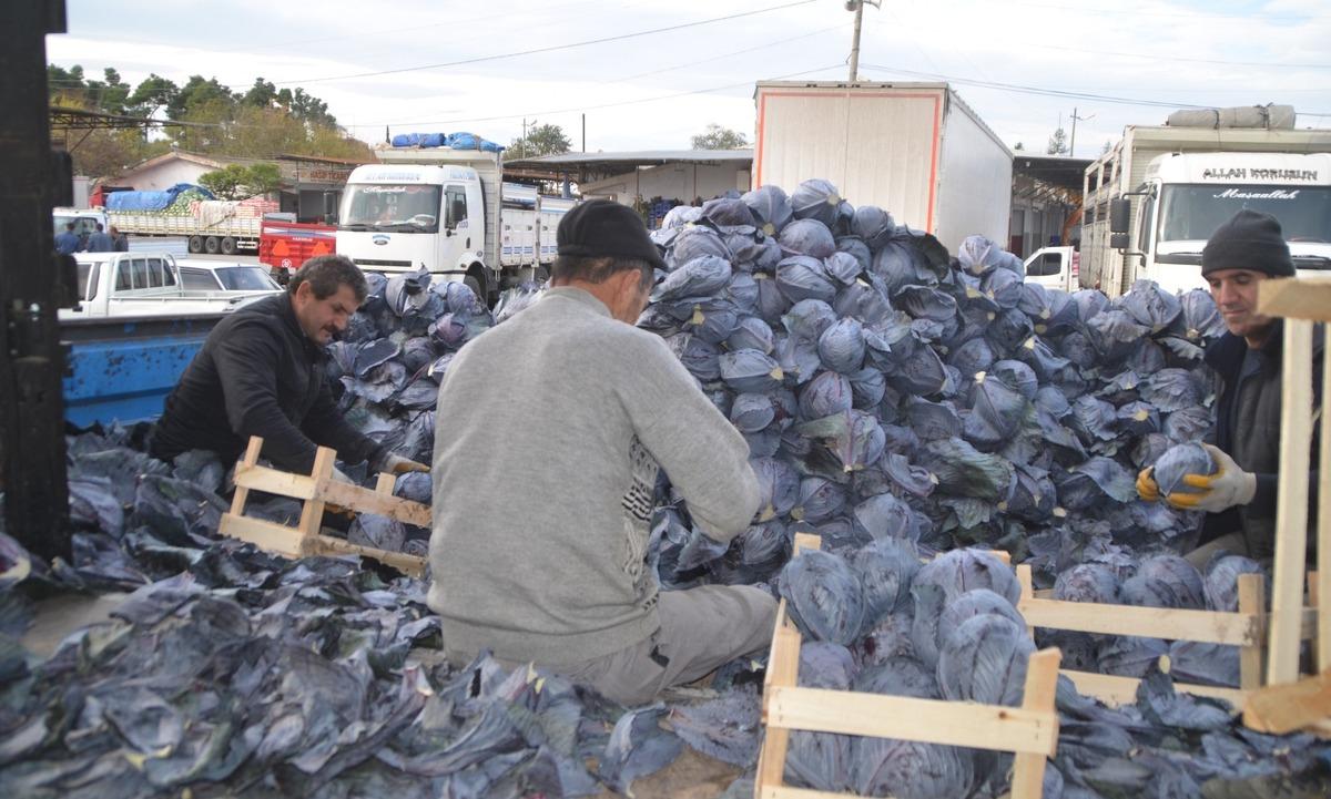 Sıcak havalar kışlık sebzeyi vurdu