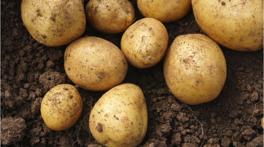 Ketojenik diyet yaygınlaşıyor, ama bu 8 uyarıya dikkat! 