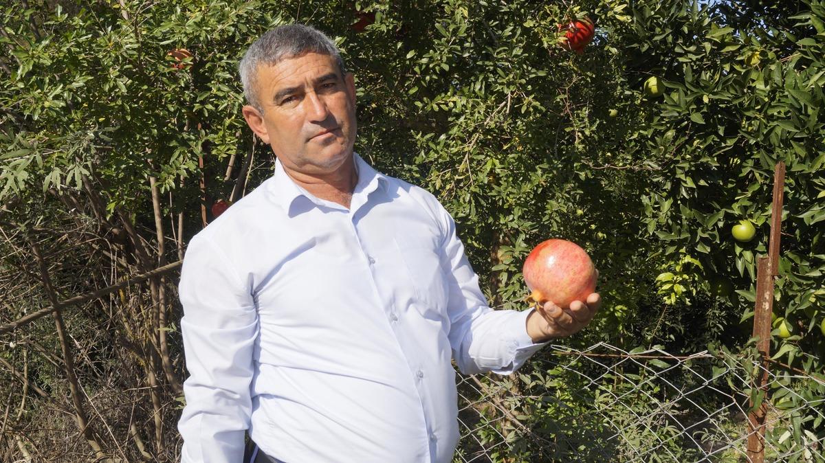 Kumluca Ziraat Odası Başkanı K&ouml;kce: Narımıza sahip &ccedil;ıkalım