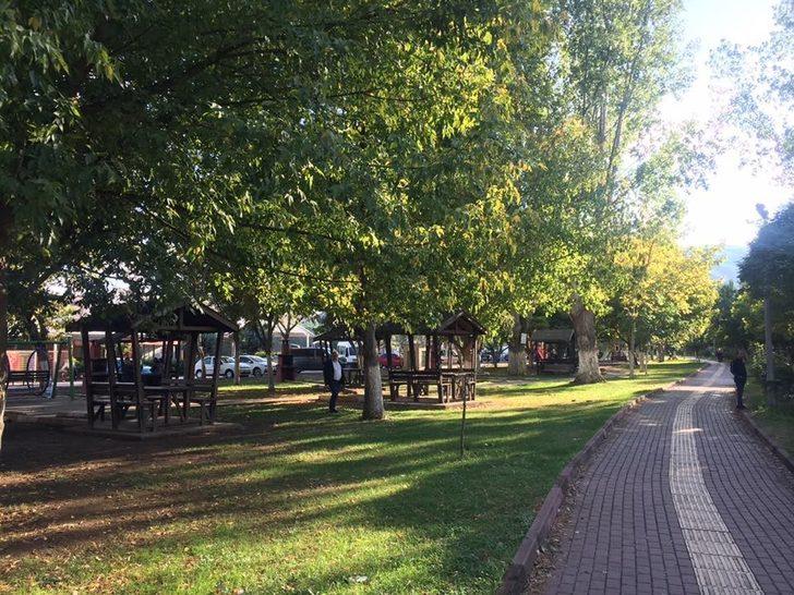 Osmaneli'de kesilen ve yakılan ağaçlara ile ilgili Belediye Başkanı'ndan açıklama G3