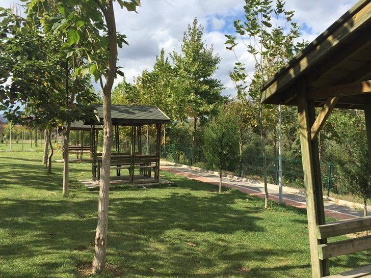 Osmaneli'de kesilen ve yakılan ağaçlara ile ilgili Belediye Başkanı'ndan açıklama G2