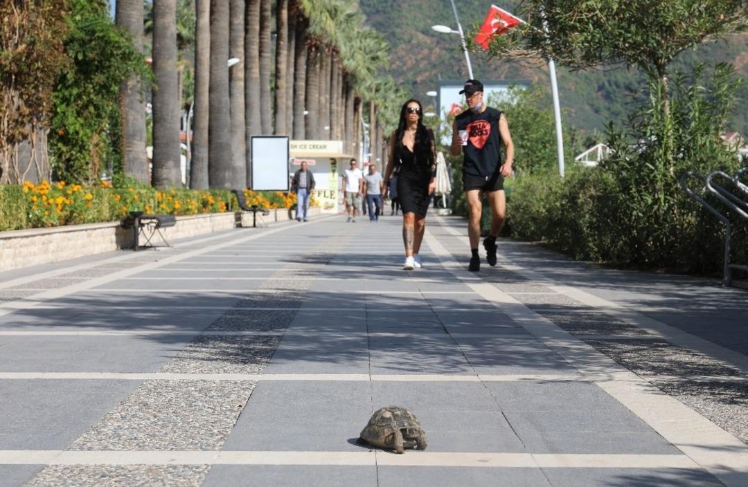 Selden sonra yapılan &ccedil;alışmalarla, Marmaris normale d&ouml;nd&uuml;