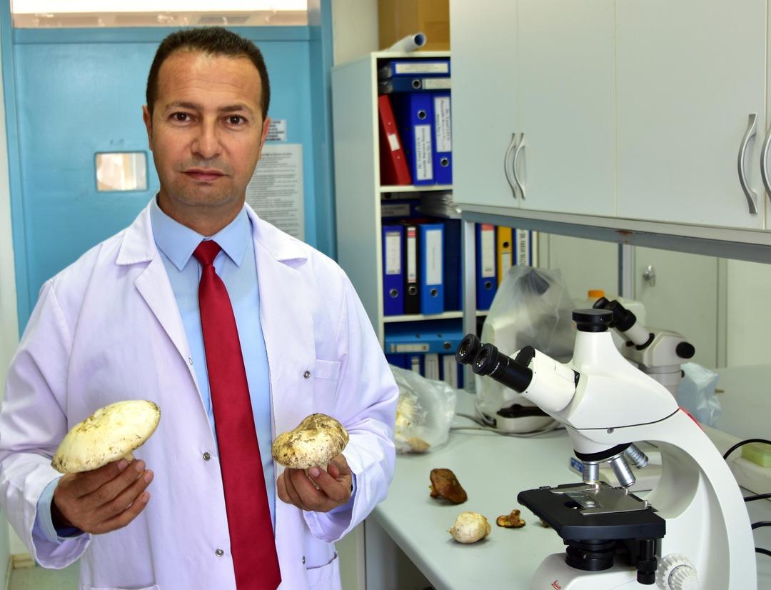 D&uuml;nyanın en zehirli mantarını yemişler... Kızı &ouml;ld&uuml;, anne yaşam savaşı veriyor