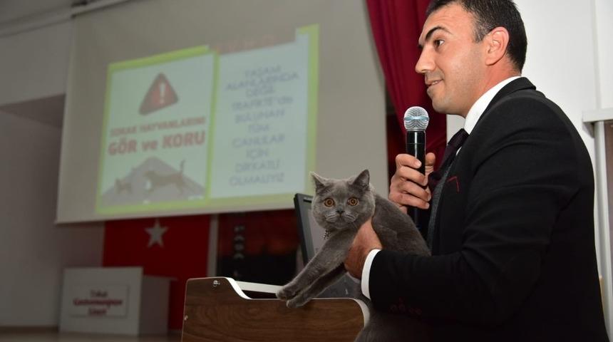 Kazazede hayvanların tedavi masraflarını sigorta şirketleri &ouml;deyecek