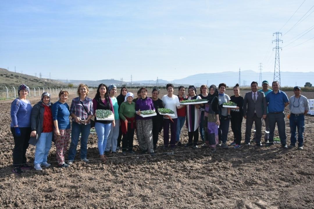 Aliağalı &uuml;retici kadın &ccedil;ift&ccedil;iler tarlaya indi