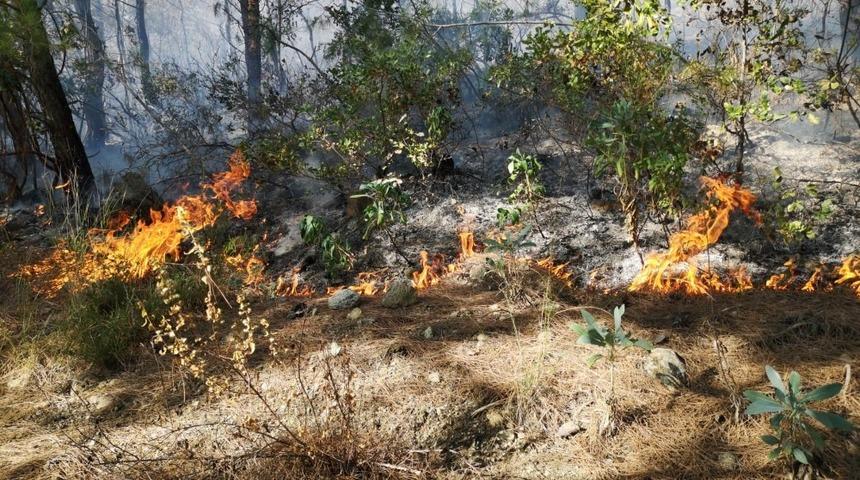 Erzin&rsquo;de orman yangını