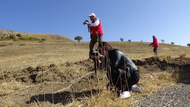 Fotoğraf sanatçıları renk cümbüşünü görüntüledi G1